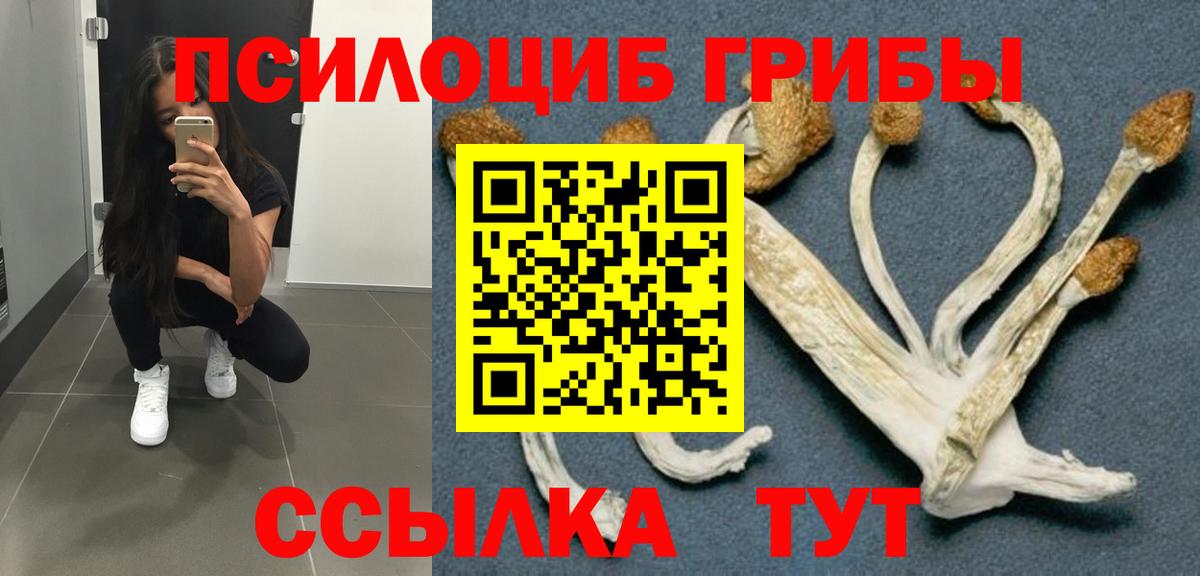 Галлюциногенные грибы Cubensis Хасавюрт